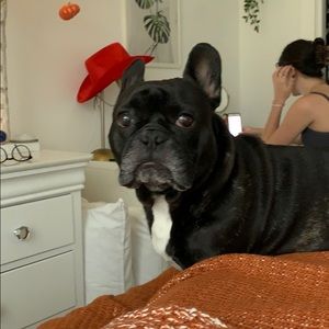 Meet your Posher, Ireland